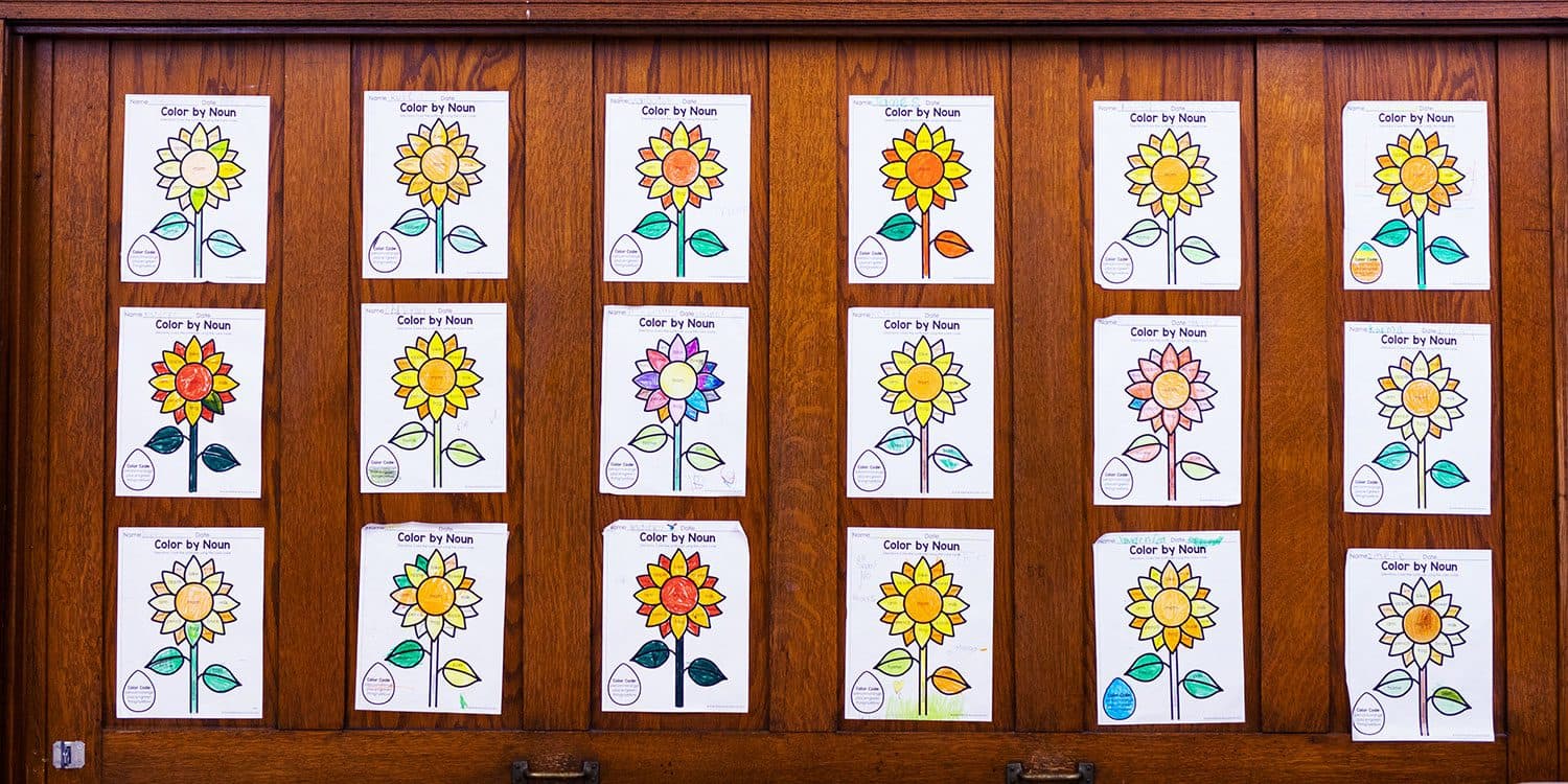 Student sunflower 'Color by Noun' worksheets displayed on a classroom wall.